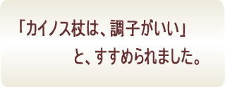 カイノス杖は調子がいいとすすめられました