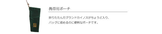 ステッキの携帯用ポーチ。折り畳んだグランドカイノスがちょうど入り、バッグに収めるのに便利なポーチです。